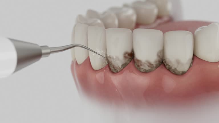 Reliable Dental contractor in Clintwood, VA by Dentist Open Now